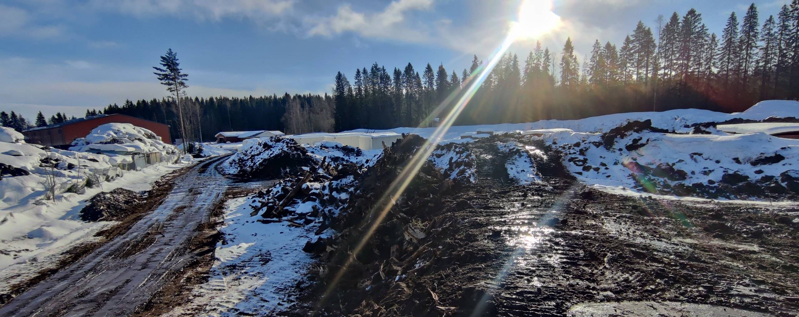 Maamassakasoja lumisella työmaalla, taustalla havumetsää ja matalalla paistava aurinko